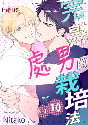 作品封面
