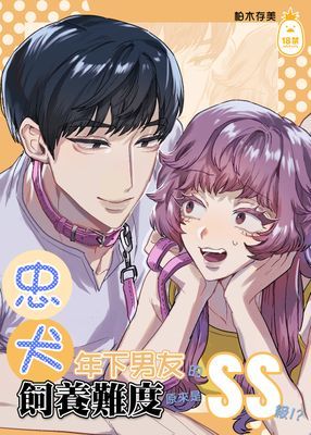作品封面