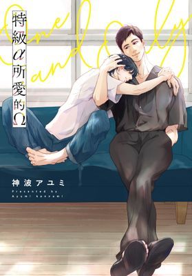 作品封面