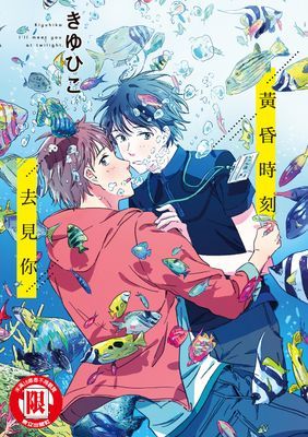 作品封面