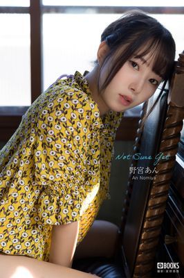 Not Sure Yet 野宮あん 【グラビア写真集】