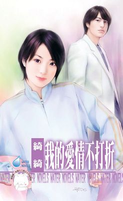 我的愛情不打折（限）