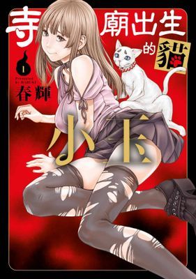 作品封面