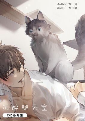 作品封面