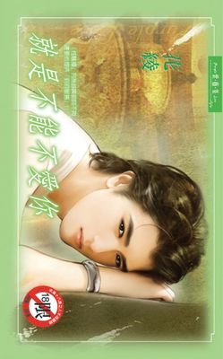 作品封面