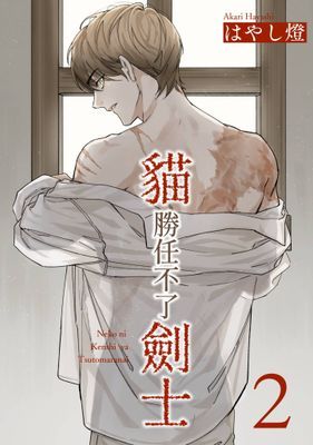 作品封面