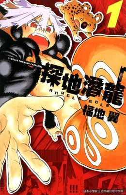 作品封面