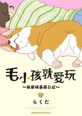 毛小孩就愛玩～我家柯基萌日記～