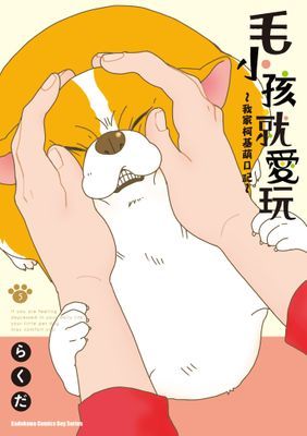 作品封面