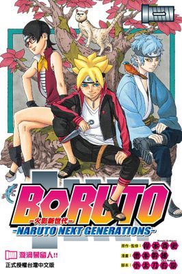 BORUTO─NARUTO NEXT GENERATIONS─火影新世代