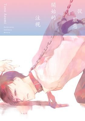 從厭惡開始的注視