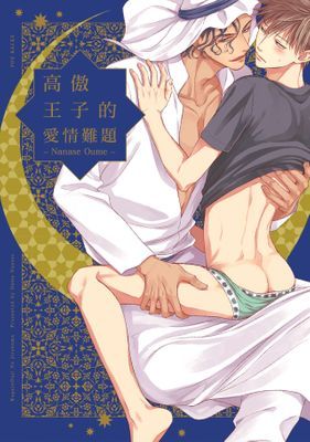 高傲王子的愛情難題