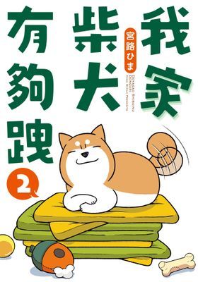我家柴犬有夠跩