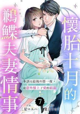 懷胎十月的鶼鰈夫妻情事～本該是最後的那一夜，竟意外懷上了愛的結晶～