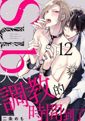 Sub大人，調教的時間到了