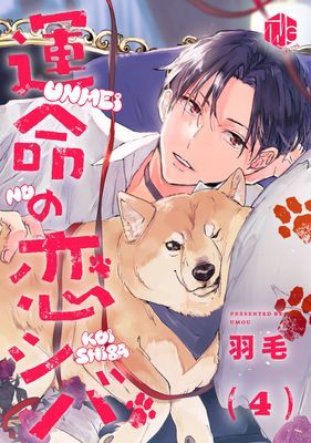 我「柴」是你的最愛