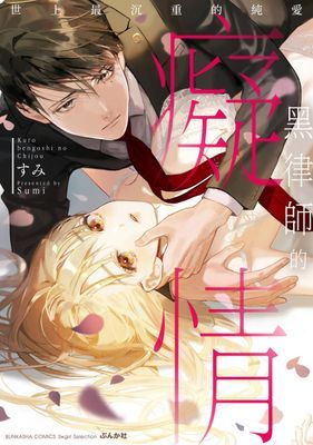 作品封面