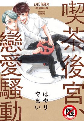 喫茶後宮、戀愛騷動