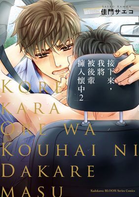 作品封面