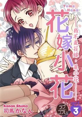 作品封面