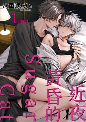 作品封面