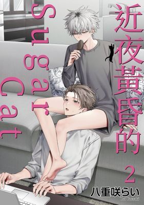 作品封面