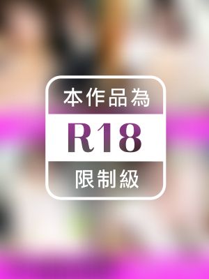 鈴木ふみ奈全巻セット256枚収録！！　鈴木ふみ奈