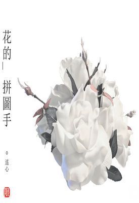 花的拼圖手