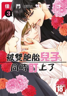作品封面