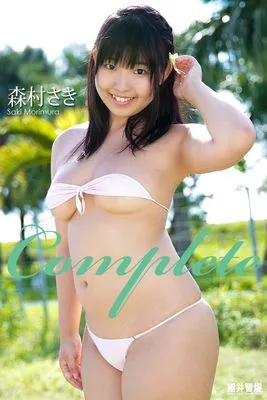 作品封面