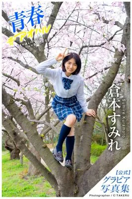 作品封面