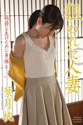 作品封面