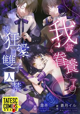 作品封面