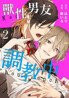 作品封面