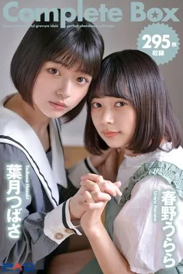 作品封面
