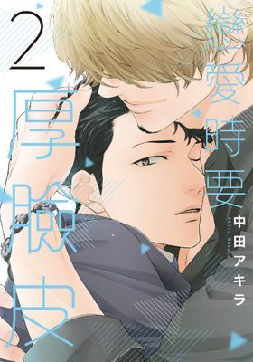 作品封面