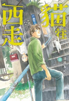 作品封面