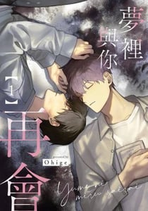 夢裡與你再會